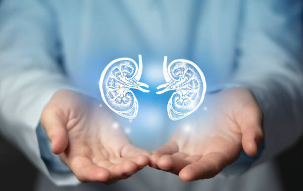 Kidney Biopsy: A Key Diagnostic Tool for Kidney Health