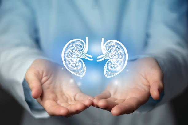 Kidney Biopsy: A Key Diagnostic Tool for Kidney Health